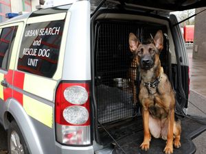 Supporting image for story: New urban search and rescue dog Luna joins force