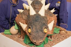 Supporting image for story