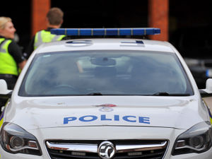 Supporting image for story: 60 cannabis plants seized in police raid on adjoining properties