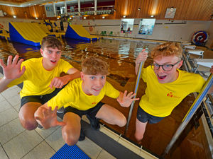 Supporting image for story: Swimming pool takes on ghoulish colour to celebrate the spooky season