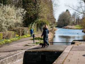 Supporting image for story: Accessibility work to continue on Newport canal