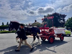 A Shire horse carried a wagon for the Red Lion pub at Ellesmere Carnival. Pictures: Sue Austin