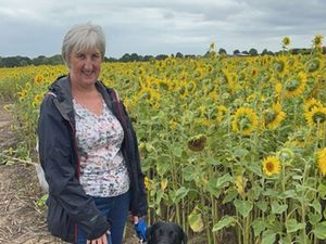 Supporting image for story: Man charged with murder over woman's death in Telford