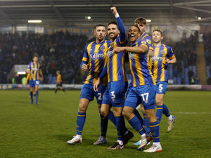 Supporting image for story: MK Dons v Shrewsbury: No complacency as Town aim to keep up momentum