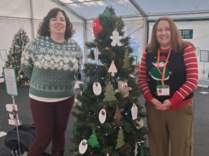 Supporting image for story: Stourport charity celebrate their first Christmas tree at Worcester Cathedral