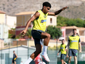 Supporting image for story: Wolves training camp, formations and stand-out performers