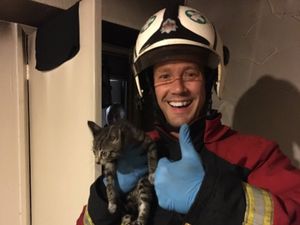 Supporting image for story: Man and kitten rescued after West Bromwich flat blaze 