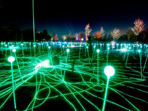Supporting image for story: WATCH: Lights and illuminations at Staffordshire's National Memorial Arboretum 