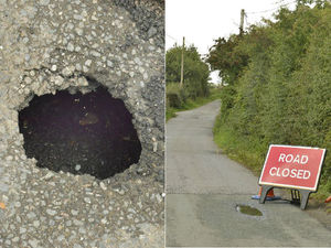 Supporting image for story: Anger at year-long Whitchurch road closure . . . because of BADGERS