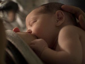 Supporting image for story: Breastfeeding time reduced in 16th century, study finds