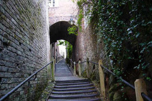 Supporting image for story: Variety of acts on Bridgnorth theatre bill