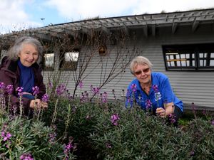 Supporting image for story: New home for butterflies in Craven Arms