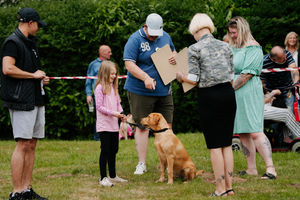 The Loggerheads Doggy Day Out
