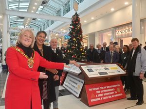 Supporting image for story: See the latest heartfelt messages added to Wolverhampton's Tree of Remembrance