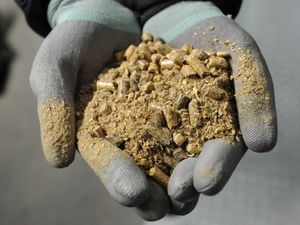 Supporting image for story: Drax under investigation by City watchdog over biomass sourcing