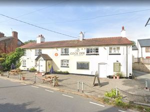 Supporting image for story: Regulars worried after pub described as 'village hub' is put up for sale