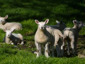 Supporting image for story: Temperatures peak on warmest day of the year so far