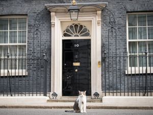 Supporting image for story: Larry the Cat’s 10 years and an Irn-Bru hunt: 2021’s lighter political moments