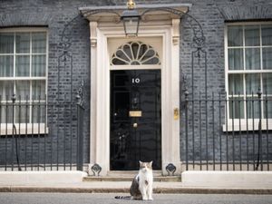 Supporting image for story: Larry the Cat’s 10 years and an Irn-Bru hunt: 2021’s lighter political moments