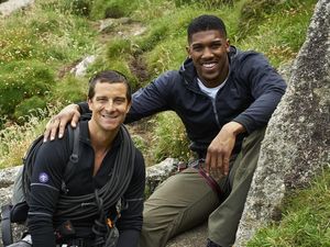 Supporting image for story