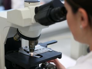 Supporting image for story