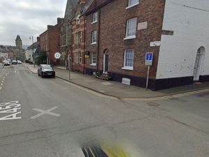 Supporting image for story: Welshpool hit by yet another huge cannabis bust - more than £350k in plants seized