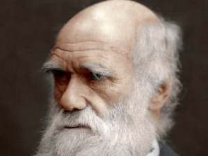 Supporting image for story: Museum seeks help to find missing Darwin document