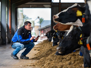 Supporting image for story: New AI powered analysis on show at Dairy-Tech