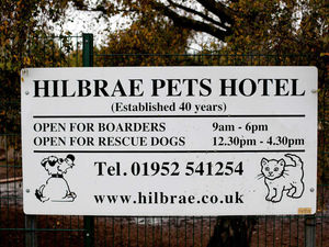 Supporting image for story: Telford dog shelter gets £20,000 to upgrade kennels