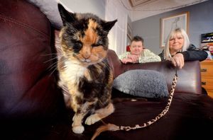 Liz Hindmarch, left, and Keri Roberts with Julie the cat