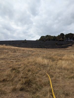 The scene at Pulverbatch. Picture: Amber Watch Wellington
