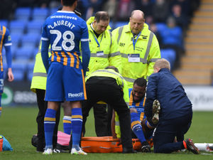 Supporting image for story: Shrewsbury Town pledge full support for Lenell John-Lewis