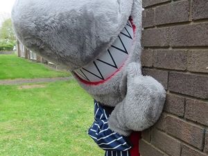 Supporting image for story: Biting back against loan sharks in Brierley Hill