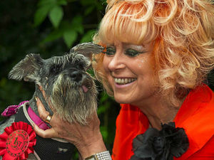 Supporting image for story: Shropshire rescue dog wins award