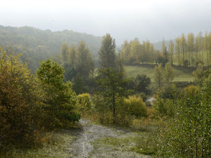 Supporting image for story: As You Like It coming to Severn Valley Country Park