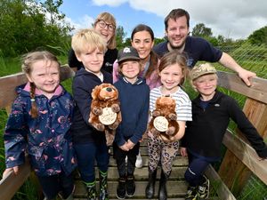 Supporting image for story: School pupils enjoy nature reserve visit after naming Shrewsbury's two new resident beavers