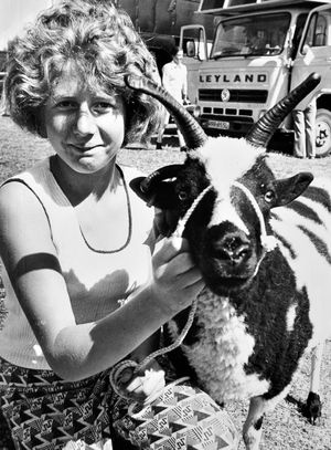 Oswestry Show, 1976. It was celebrated as one of the sunniest Oswestry Shows ever. The picture was taken on Thursday, July 29.