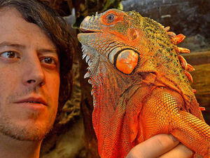 Supporting image for story: Telford Exotic Zoo set to move to a bigger site