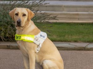 Supporting image for story: Sandwell and Walsall Fundraising Group reaches £13,000 milestone for Guide Dogs