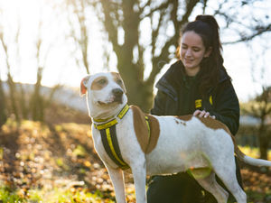 Kluska is still looking for a home