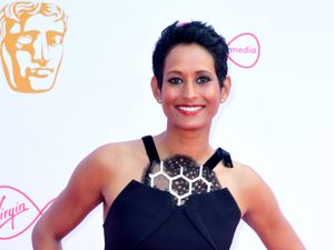 Supporting image for story