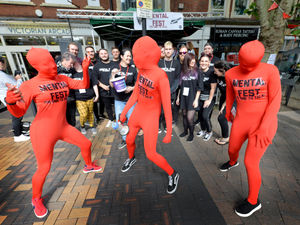 Supporting image for story: Music festival held in Walsall for charity