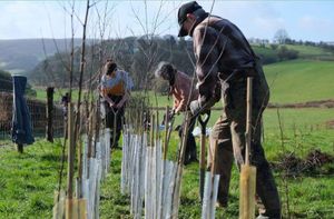CPRE Shropshire hedge planting volunteers