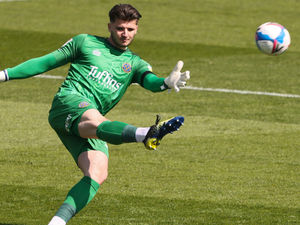 Supporting image for story: Shrewsbury's Matija Sarkic back with Wolves for quad injury rehab