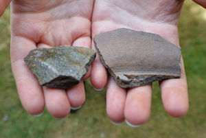 12th Century pottery found at Shrewsbury Castle