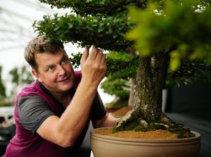 Supporting image for story: Finishing touches ahead of Shrewsbury Flower Show this weekend