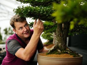 Supporting image for story: Finishing touches ahead of Shrewsbury Flower Show this weekend