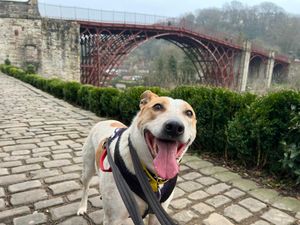 Ross enjoyed a night away in Ironbridge 