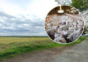 Supporting image for story: New plans for egg farm near Newport with space for 32,000 chickens