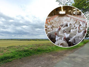 Supporting image for story: New plans for egg farm near Newport with space for 32,000 chickens